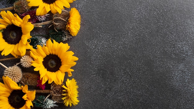 Foto gratuita vista dall'alto della cornice di girasoli con spazio di copia