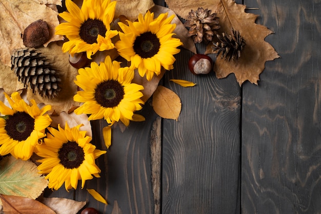 Free photo top view of sunflowers frame with copy space