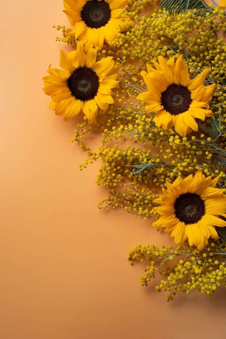 Free Photo top view of sunflowers frame with copy space