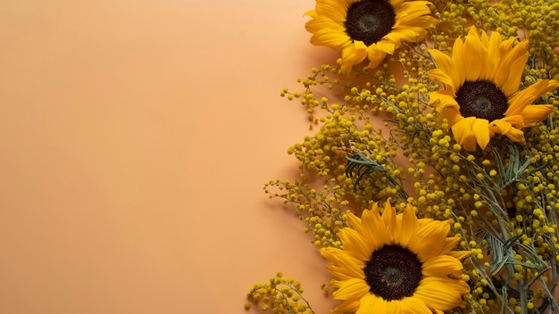 Free photo top view of sunflowers frame with copy space