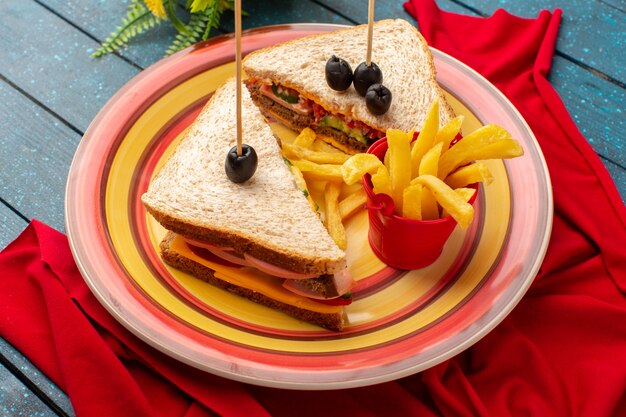 Top view tasty sandwiches inside colorful plate inside cheese ham with french fries on the blue wooden desk sandwich food meal photo