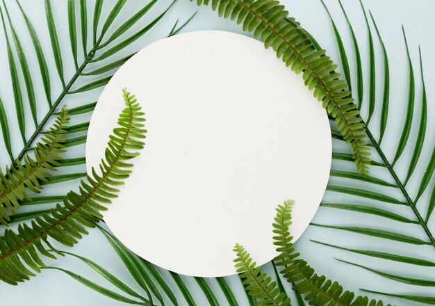 Top view of thin leaves and ferns with copy space