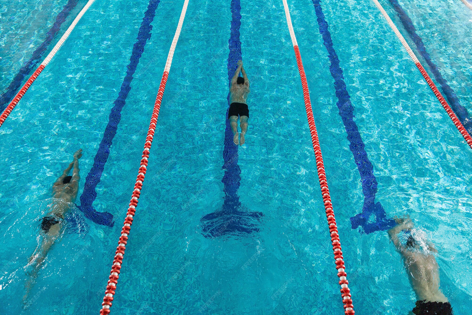 Swim Techniques image 2