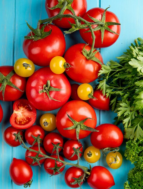 Top view of tomatoes and coriander on blue surface