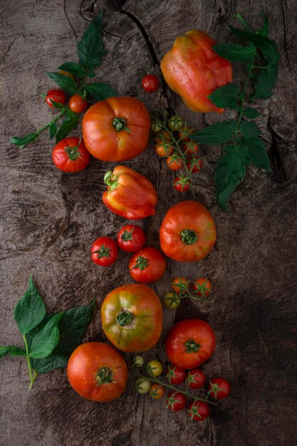 Top view tomatoes on stucco background