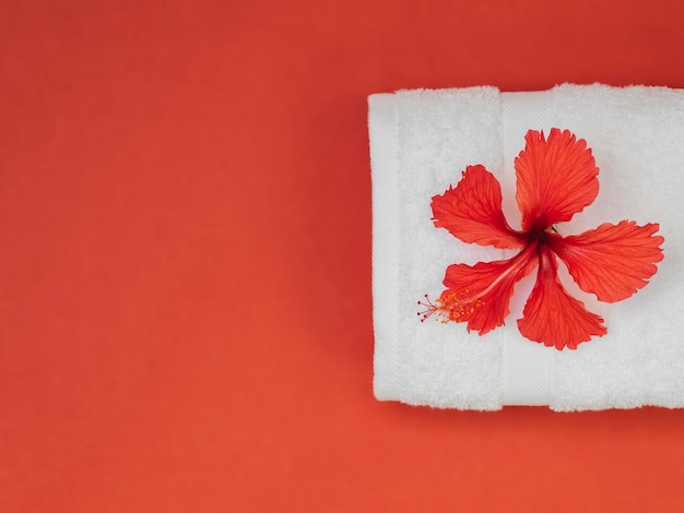 Top view towel and flower on red background 