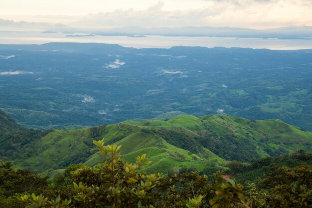 Top view of tropical forest in rainy weather