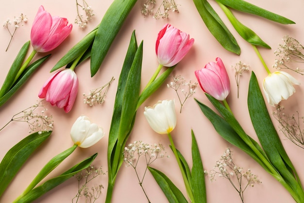 Foto gratuita collezione di tulipani vista dall'alto