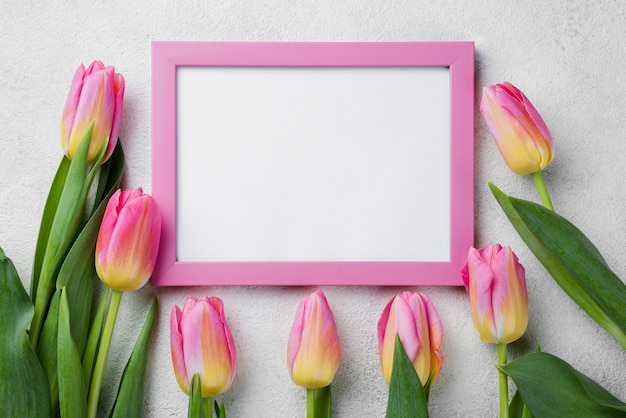 Free photo top view tulips beside frame