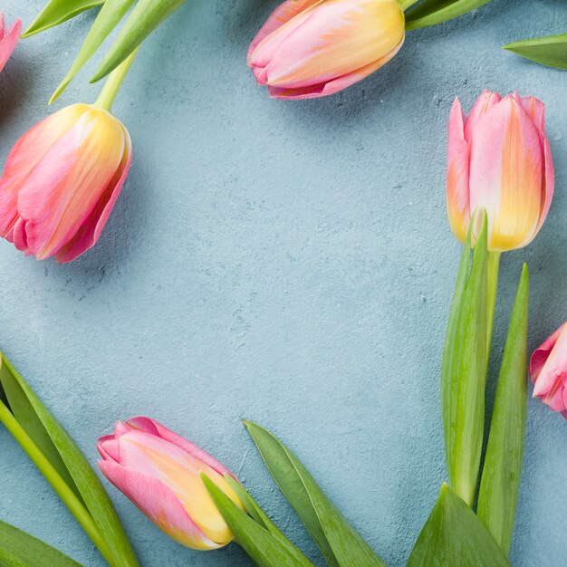 Top view tulips frame on table