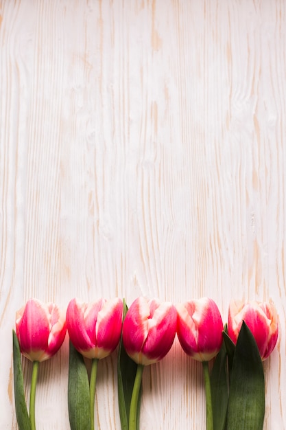 Top view tulips on table