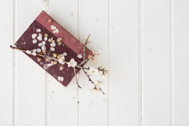 Top view of twig on a book