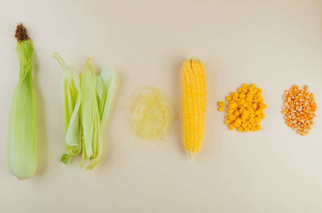 Top view of uncooked cooked corns with cooked and dried corn kernels and corn shell with corn silk on white