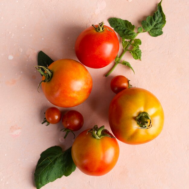 Top view unripe garden tomatoes