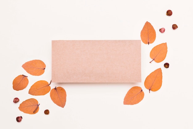 Top view of variety of autumn leaves with paper