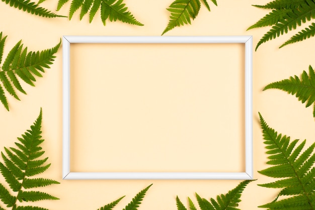 Top view of variety of fern leaves with frame