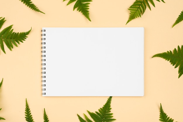 Free photo top view of variety of fern leaves with notebook