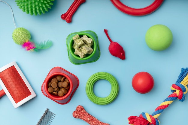 Top view on various colorful pet accessories still life concept