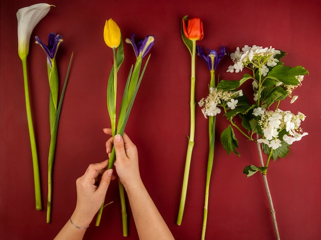 Vista dall'alto di vari fiori per bouquet come tulipani di colore rosso e giallo, calla, fiori di iris viola scuro e fioritura viburno sul tavolo rosso