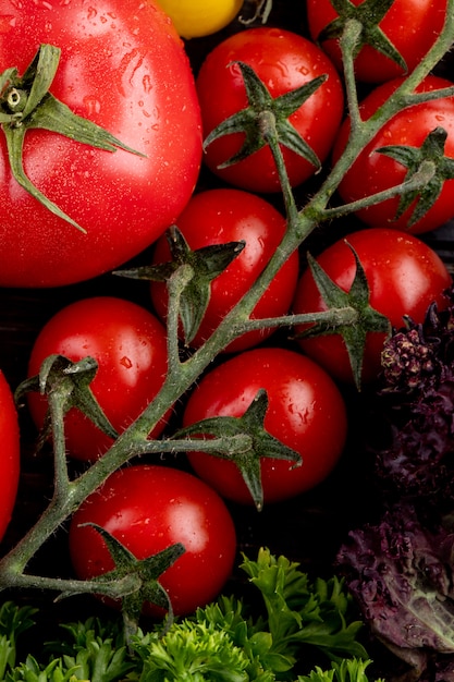 バジルコリアンダーとトマトとして野菜のトップビュー