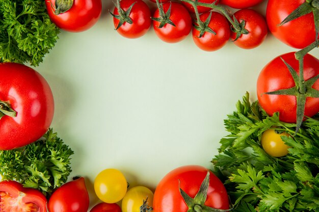 Top view of vegetables as coriander and tomato on white surface with copy space