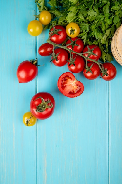Top view of vegetables as coriander and tomatoes on blue with copy space