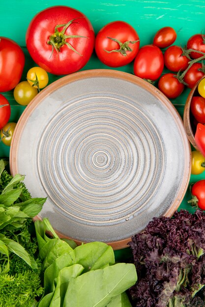 Foto gratuita vista superiore delle verdure come basilico degli spinaci del coriandolo del pomodoro con il piatto su superficie verde