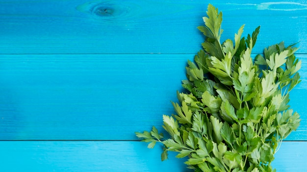 Top view vegetables on blue background