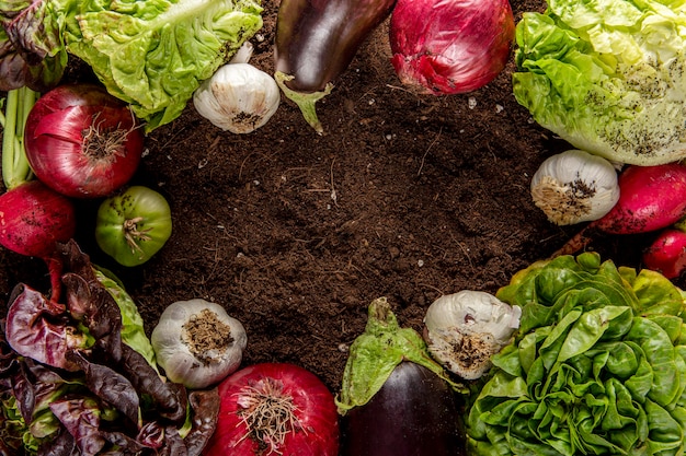 Free photo top view of veggies with eggplant