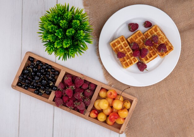 Top view waffles on a plate with raspberries white cherries and black currants on a white table