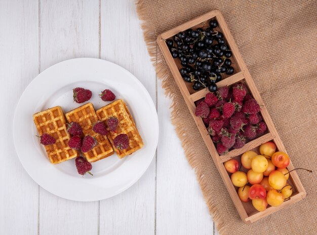 Top view waffles on a plate with raspberries white cherries and black currants on a white table