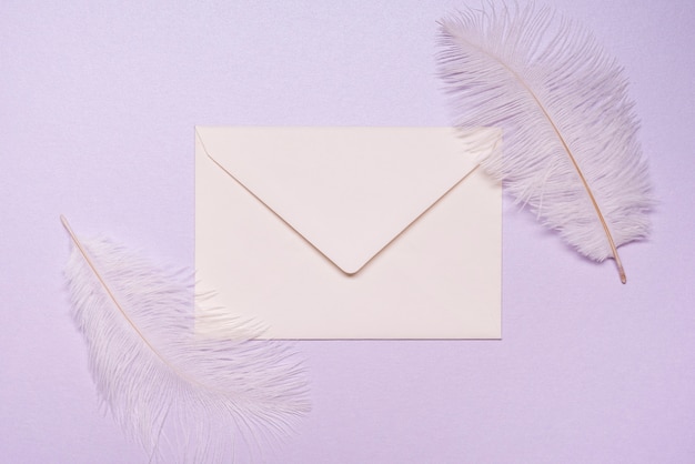 Top view wedding invitation surrounded by feathers