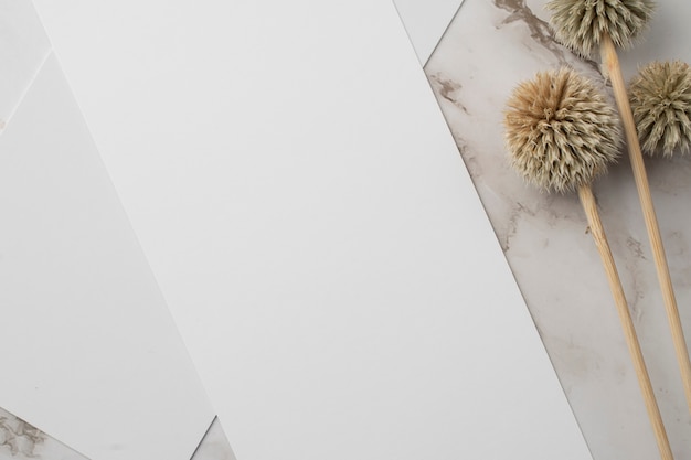 Top view of wedding paper with dried plant