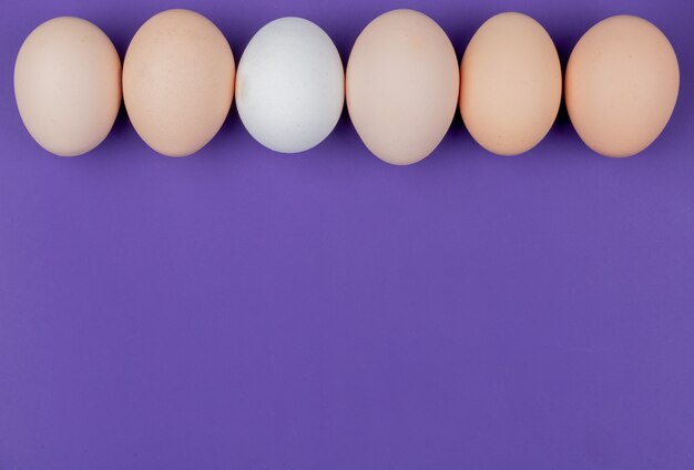 Top view of white and cream colored eggs arranged in a line on a violet background with copy space