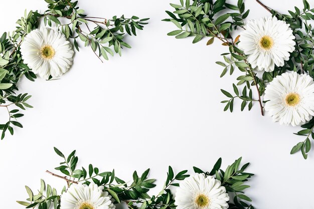 Top view of white daisies