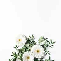 Free photo top view of white daisies