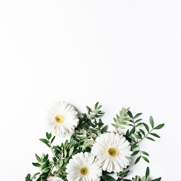 Top view of white daisies