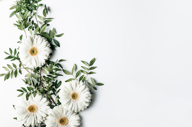 Free photo top view of white daisies