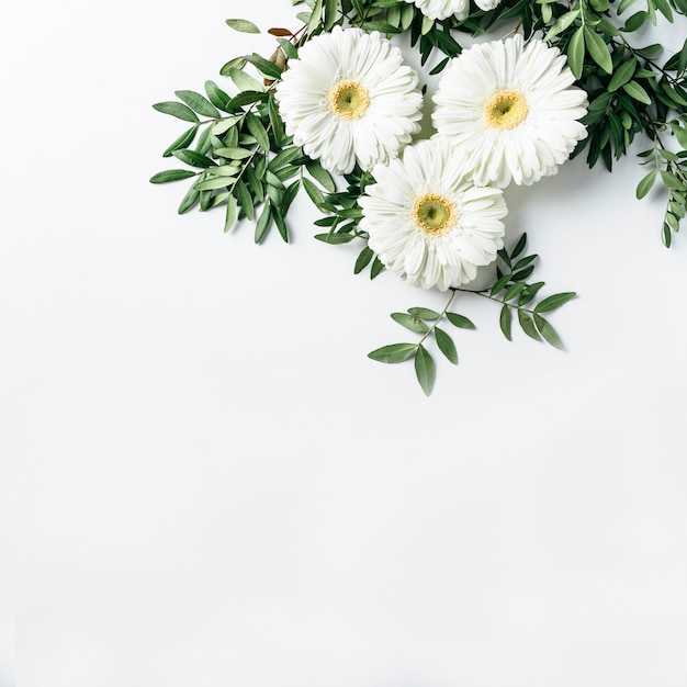 Free photo top view of white daisies