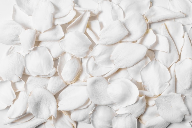 Top view of white flower petals