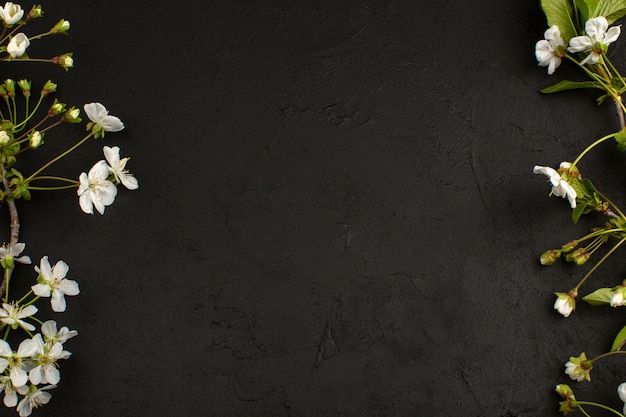 어두운 바닥에 상위 뷰 흰색 꽃