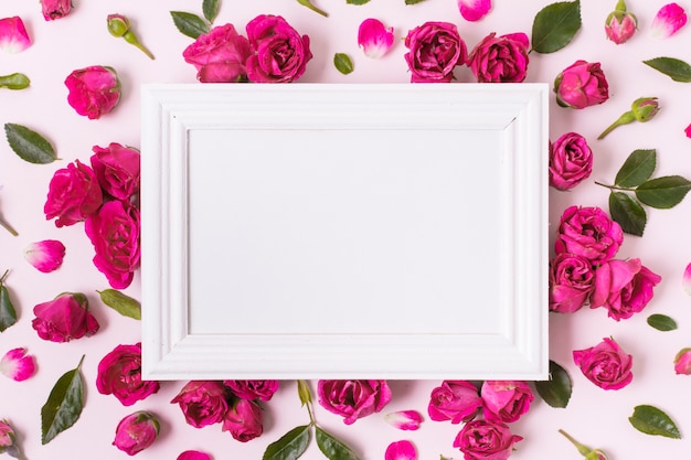 Free photo top view white frame surrounded by roses