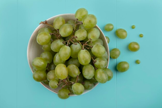 Top view of white grape in bowl and on blue background