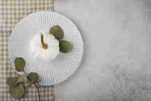 Free photo top view white pumpkin on plate