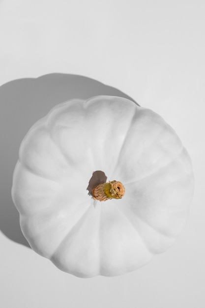 Free photo top view white pumpkin still life