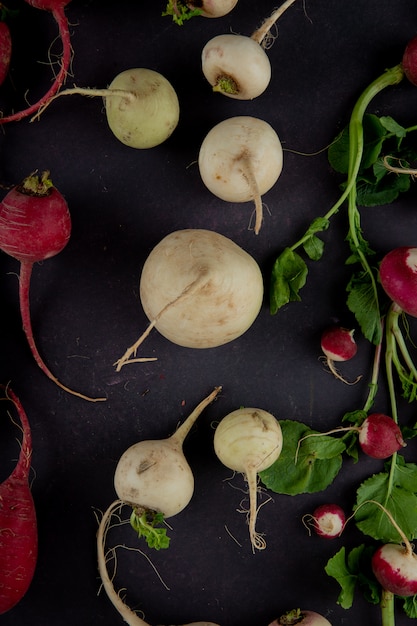 Top view of white radishes with red ones on maroon background