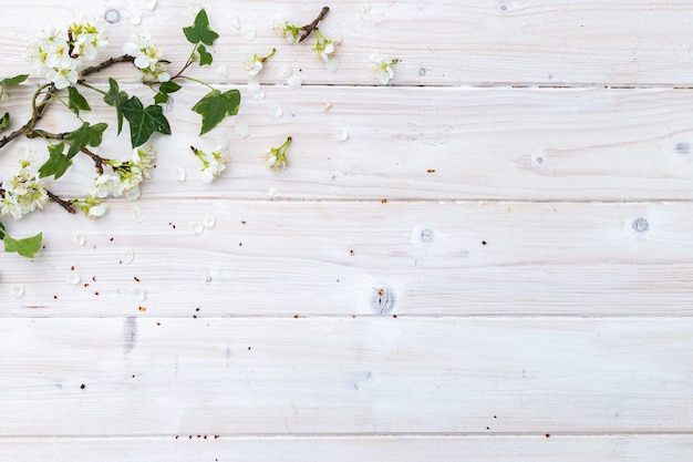 あなたのテキストのためのスペースと木製のテーブルの上の白い春の花と葉の上面図