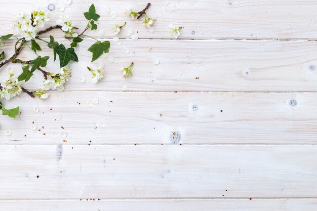 Top view of white spring flowers and leaves on a wooden table with space for your text