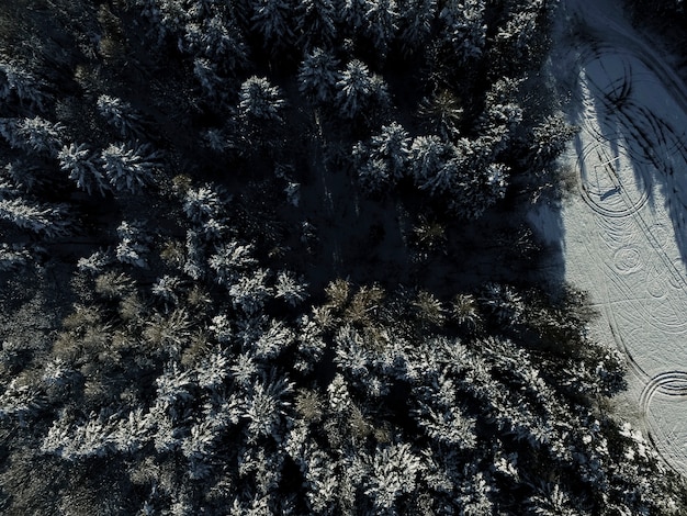 Top view of winter forest