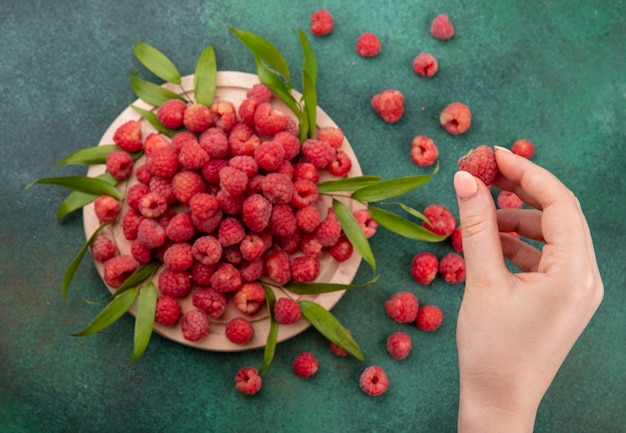 Free photo top view of woman hand holding raspberry and raspberries with leaves on cutting board on green surface